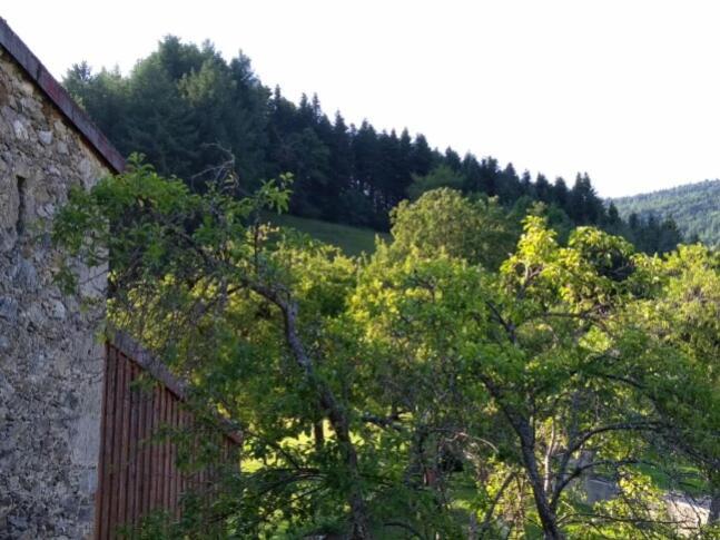 La Caminada Villa Fougax-et-Barrineuf Dış mekan fotoğraf