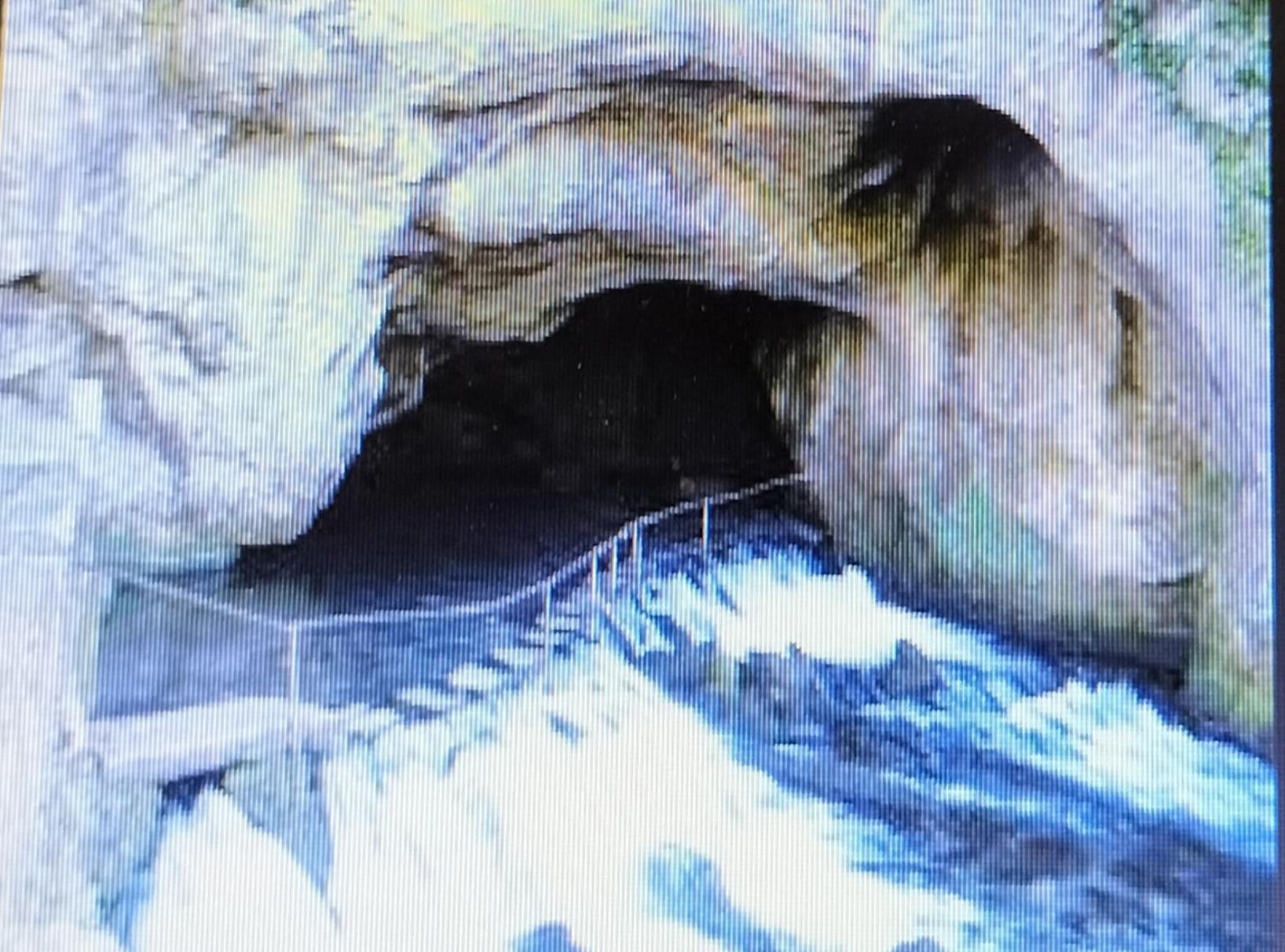La Caminada Villa Fougax-et-Barrineuf Dış mekan fotoğraf